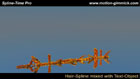 Spline-Time Pro